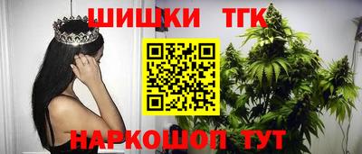 мдпв Татарск