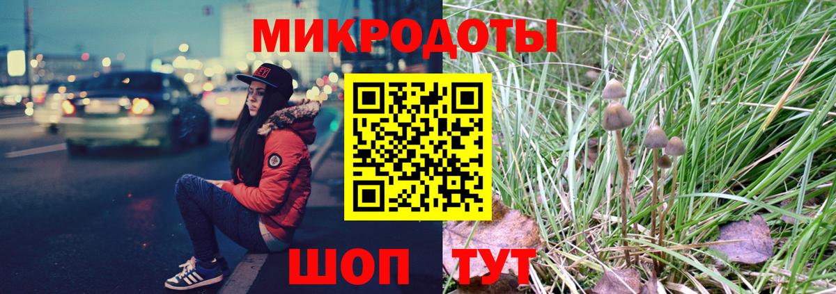 Псилоцибиновые грибы GOLDEN TEACHER  Вход с VPN  Муром 
