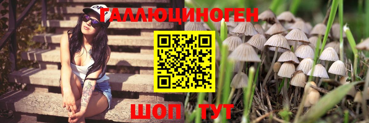 Псилоцибиновые грибы ЛСД Муром